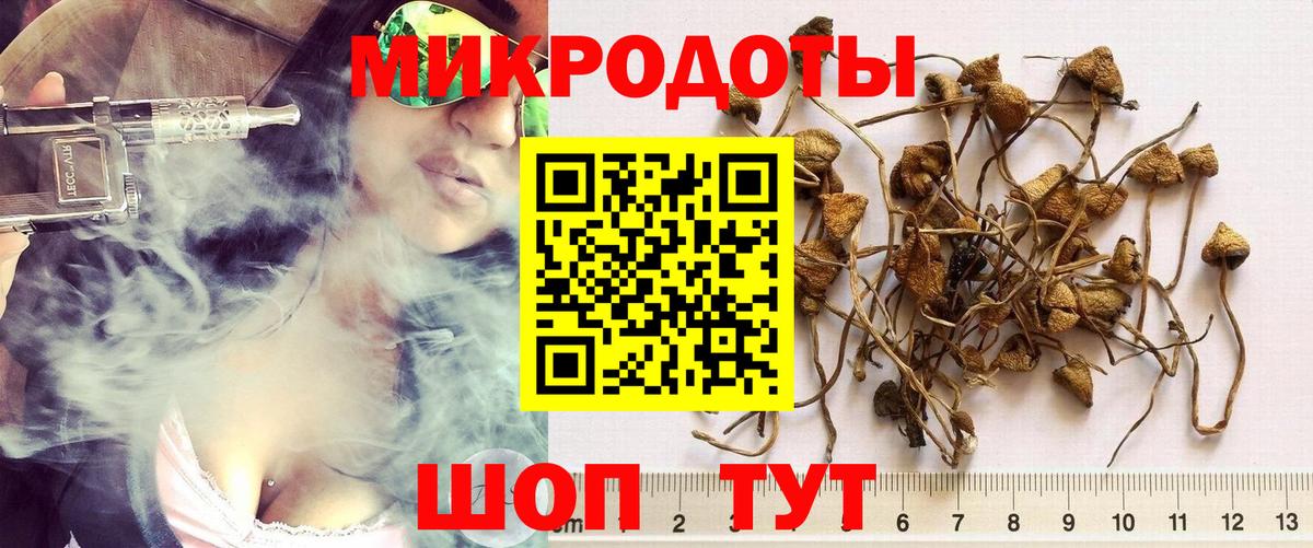 Псилоцибиновые грибы мицелий Лениногорск